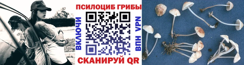 Галлюциногенные грибы MAGIC MUSHROOMS  Талица 